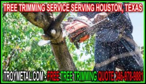 Professional Tree Trimming In Houston, Cypress, Katy, Jersey Village, Tomball And Cypress Texas